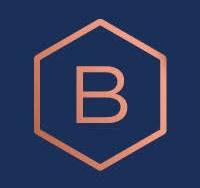 Balthorne Security Solutions